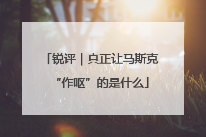锐评｜真正让马斯克“作呕”的是什么