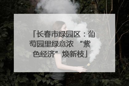 长春市绿园区：葡萄园里绿意浓 “紫色经济”焕新枝