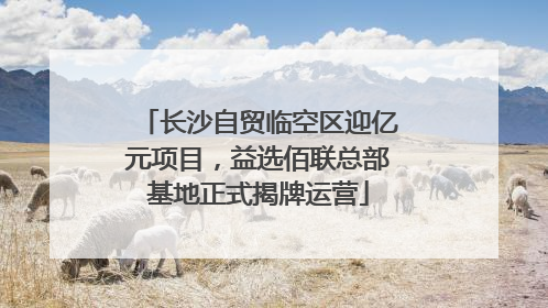 长沙自贸临空区迎亿元项目，益选佰联总部基地正式揭牌运营