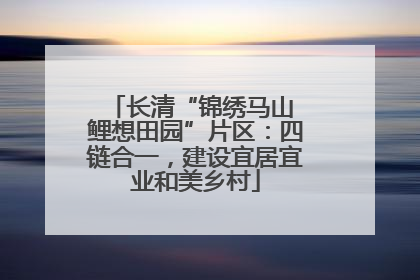 长清“锦绣马山 鲤想田园”片区：四链合一，建设宜居宜业和美乡村