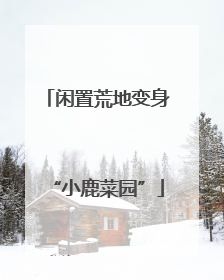闲置荒地变身“小鹿菜园”