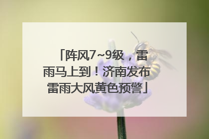 阵风7~9级，雷雨马上到！济南发布雷雨大风黄色预警