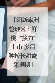 阳新率洲管理区:鲜桃“接力”上市 多品种拉长甜蜜采摘期