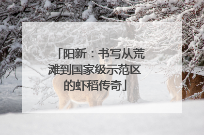 阳新：书写从荒滩到国家级示范区的虾稻传奇