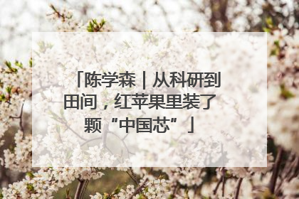 陈学森｜从科研到田间，红苹果里装了颗“中国芯”