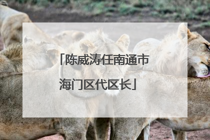陈威涛任南通市海门区代区长