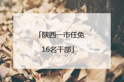 陕西一市任免16名干部
