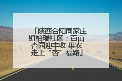 陕西合阳同家庄镇柏瑞社区：百亩杏园迎丰收 果农走上“杏”福路