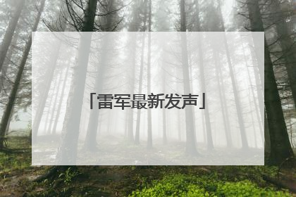雷军最新发声