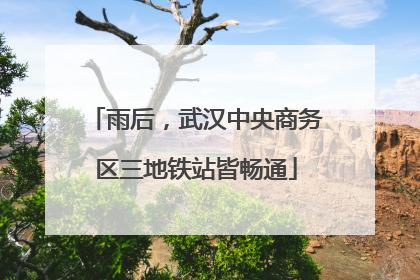 雨后，武汉中央商务区三地铁站皆畅通