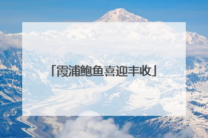 霞浦鲍鱼喜迎丰收