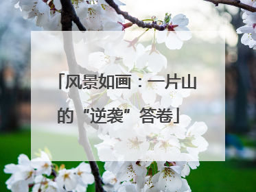风景如画：一片山的“逆袭”答卷