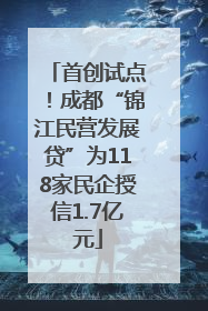 首创试点！成都“锦江民营发展贷”为118家民企授信1.7亿元