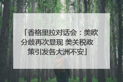 香格里拉对话会：美欧分歧再次显现 美关税政策引发各大洲不安
