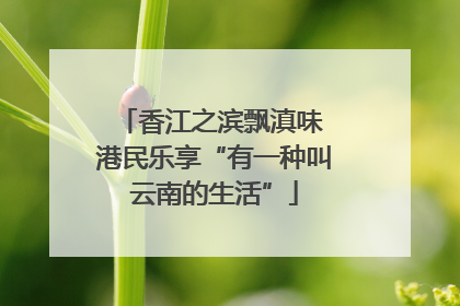 香江之滨飘滇味 港民乐享“有一种叫云南的生活”