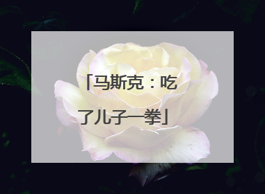 马斯克：吃了儿子一拳