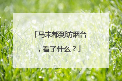 马未都到访烟台，看了什么？