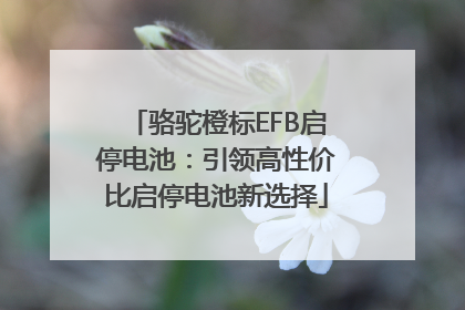骆驼橙标EFB启停电池：引领高性价比启停电池新选择