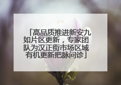 高品质推进新安九如片区更新，专家团队为汉正街市场区域有机更新把脉问诊