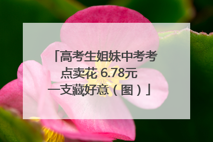 高考生姐妹中考考点卖花 6.78元一支藏好意（图）