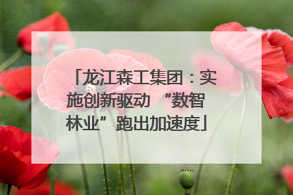 龙江森工集团：实施创新驱动 “数智林业”跑出加速度