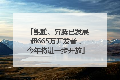 鲲鹏、昇腾已发展超665万开发者，今年将进一步开放