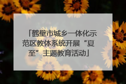 鹤壁市城乡一体化示范区教体系统开展“夏至”主题教育活动