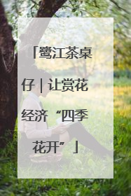 鹭江茶桌仔｜让赏花经济“四季花开”