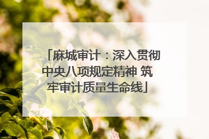 麻城审计：深入贯彻中央八项规定精神 筑牢审计质量生命线
