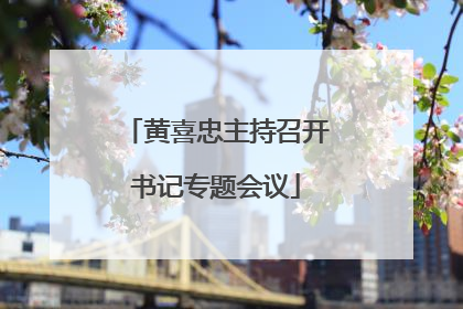 黄喜忠主持召开书记专题会议