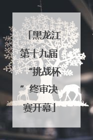 黑龙江第十九届“挑战杯”终审决赛开幕