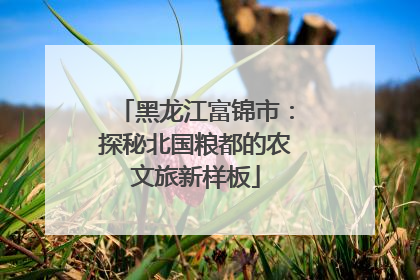 黑龙江富锦市：探秘北国粮都的农文旅新样板
