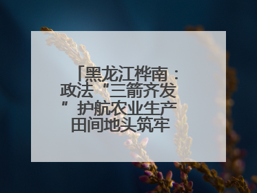 黑龙江桦南：政法“三箭齐发”护航农业生产 田间地头筑牢平安建设防线