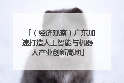 （经济观察）广东加速打造人工智能与机器人产业创新高地