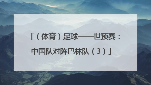 （体育）足球——世预赛：中国队对阵巴林队（3）
