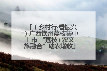 （乡村行·看振兴）广西钦州荔枝集中上市 “荔枝+农文旅融合”助农增收