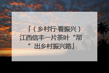 （乡村行·看振兴）江西信丰一片茶叶“沏”出乡村振兴路