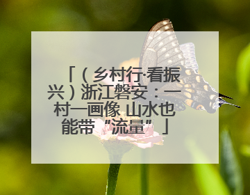 （乡村行·看振兴）浙江磐安：一村一画像 山水也能带“流量”
