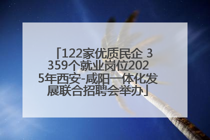 122家优质民企 3359个就业岗位2025年西安-咸阳一体化发展联合招聘会举办