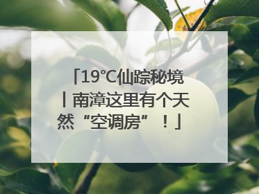 19℃仙踪秘境丨南漳这里有个天然“空调房”！