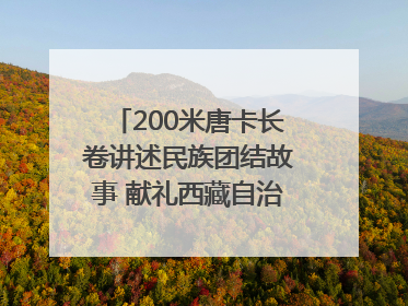 200米唐卡长卷讲述民族团结故事 献礼西藏自治区成立60周年
