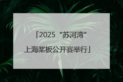 2025“苏河湾”上海桨板公开赛举行