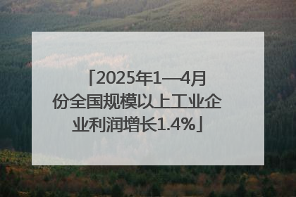 2025年1—4月份全国规模以上工业企业利润增长1.4%