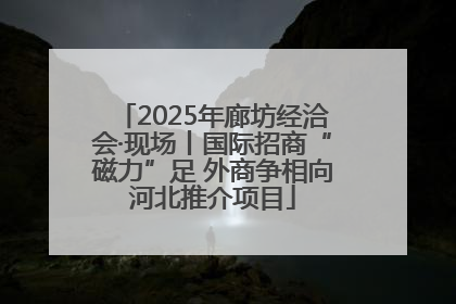 2025年廊坊经洽会·现场丨国际招商“磁力”足 外商争相向河北推介项目