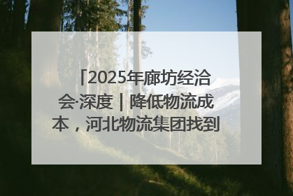 2025年廊坊经洽会·深度｜降低物流成本，河北物流集团找到一把“金钥匙”