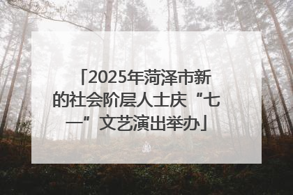 2025年菏泽市新的社会阶层人士庆“七一”文艺演出举办