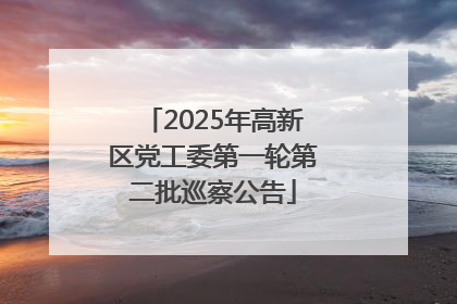 2025年高新区党工委第一轮第二批巡察公告