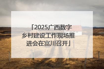 2025广西数字乡村建设工作现场推进会在富川召开