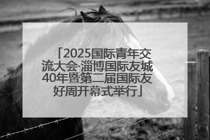 2025国际青年交流大会·淄博国际友城40年暨第二届国际友好周开幕式举行