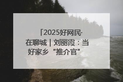 2025好网民·在聊城｜刘丽霞：当好家乡“推介官” 秀出乡村新风貌